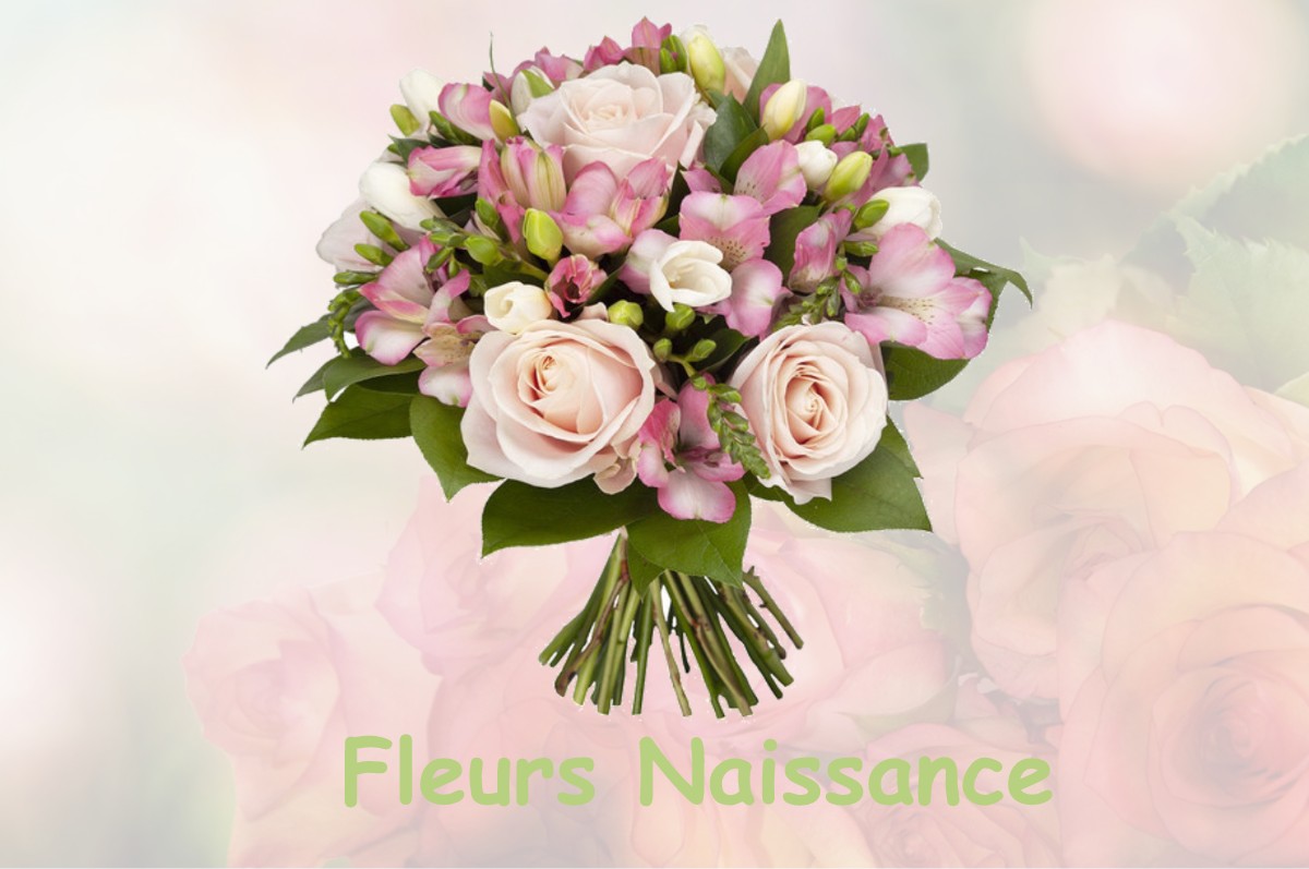 fleurs naissance ORIS-EN-RATTIER